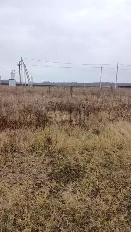 Участок в Башкортостан, Уфимский район, Булгаковский сельсовет, д. ... - Фото 0