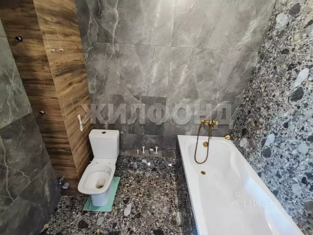 1-к кв. Новосибирская область, Новосибирск ул. Станиславского, 16/2 ... - Фото 2