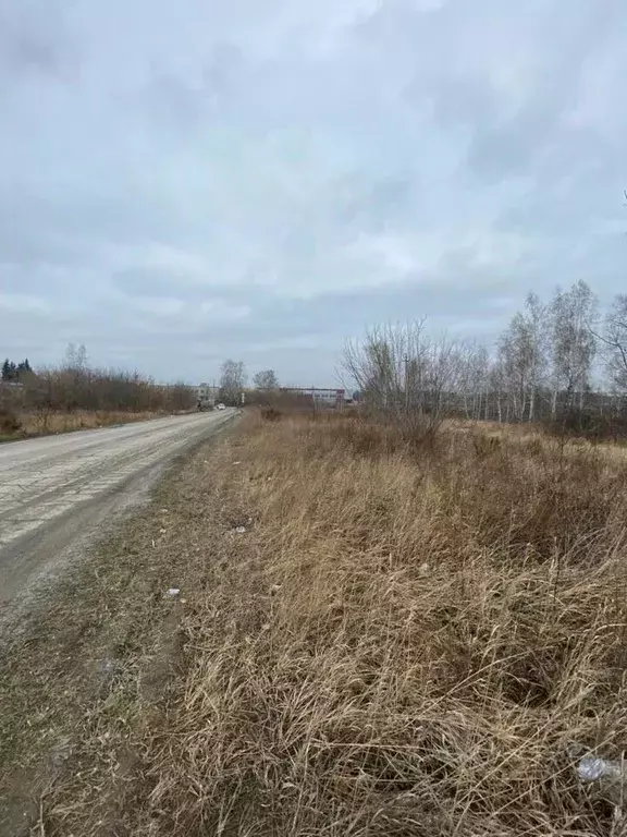Участок в Новосибирская область, Новосибирский район, Толмачевский ... - Фото 0