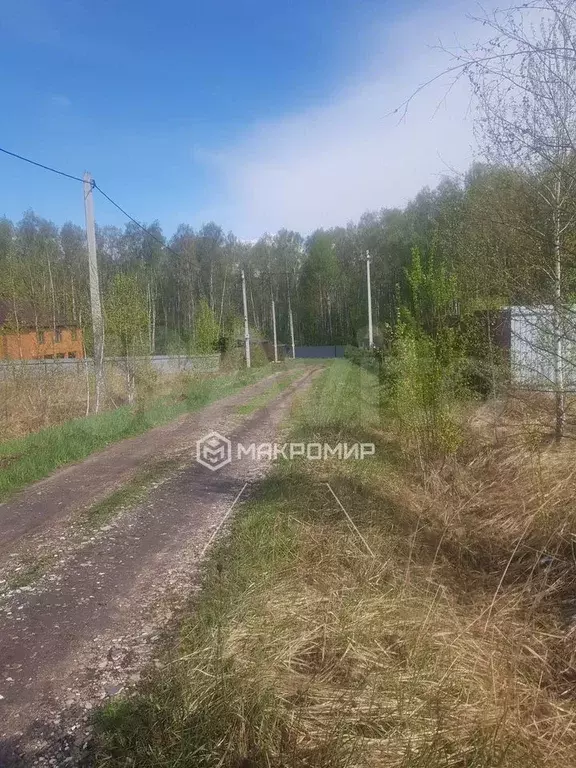 Участок 30 сот. (СНТ, ДНП) - Фото 1