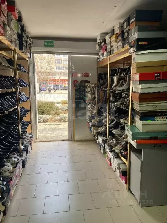 Помещение свободного назначения в Крым, Евпатория просп. Победы, 63А ... - Фото 1