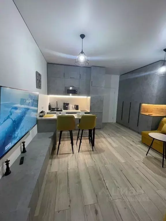 Студия Московская область, Химки ул. Генерала Дьяконова, 13 (30.0 м) - Фото 1