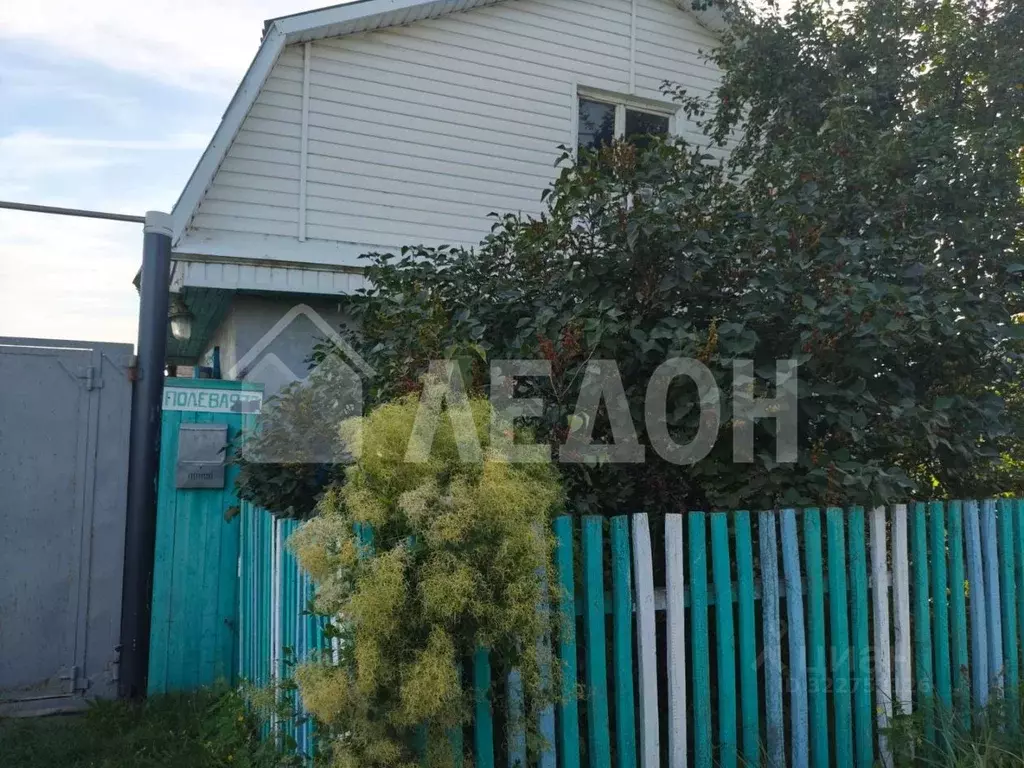 Дом в Омская область, Омск пос. Николаевка, ул. Полевая, 77 (53 м) - Фото 2