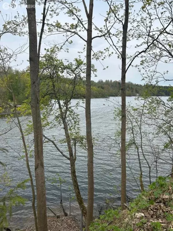 Дом в городской посёлок Токсово, улица Чайное Озеро, 3 (41.5 м) - Фото 1