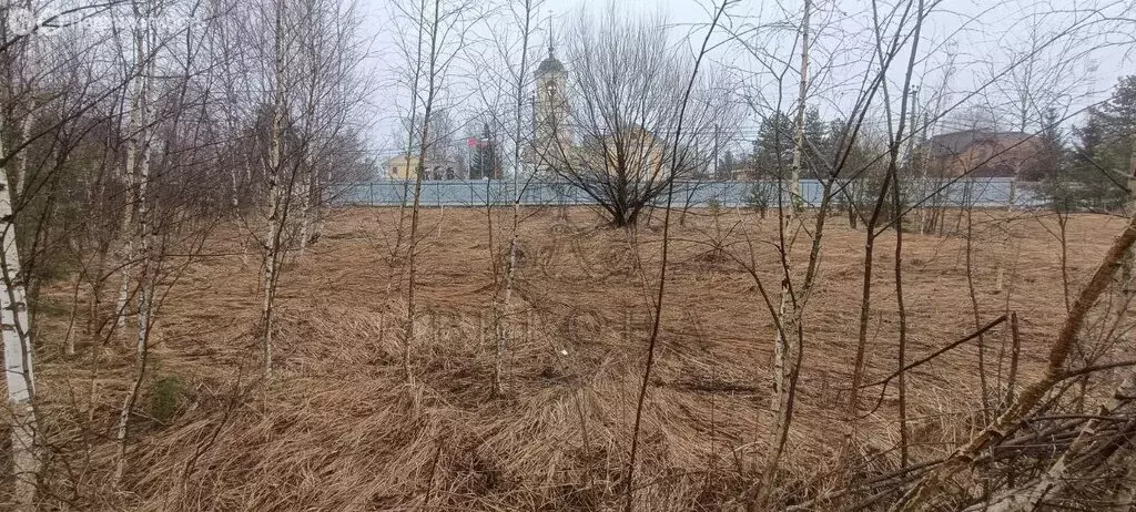 Участок в село Воскресенское (12 м) - Фото 1