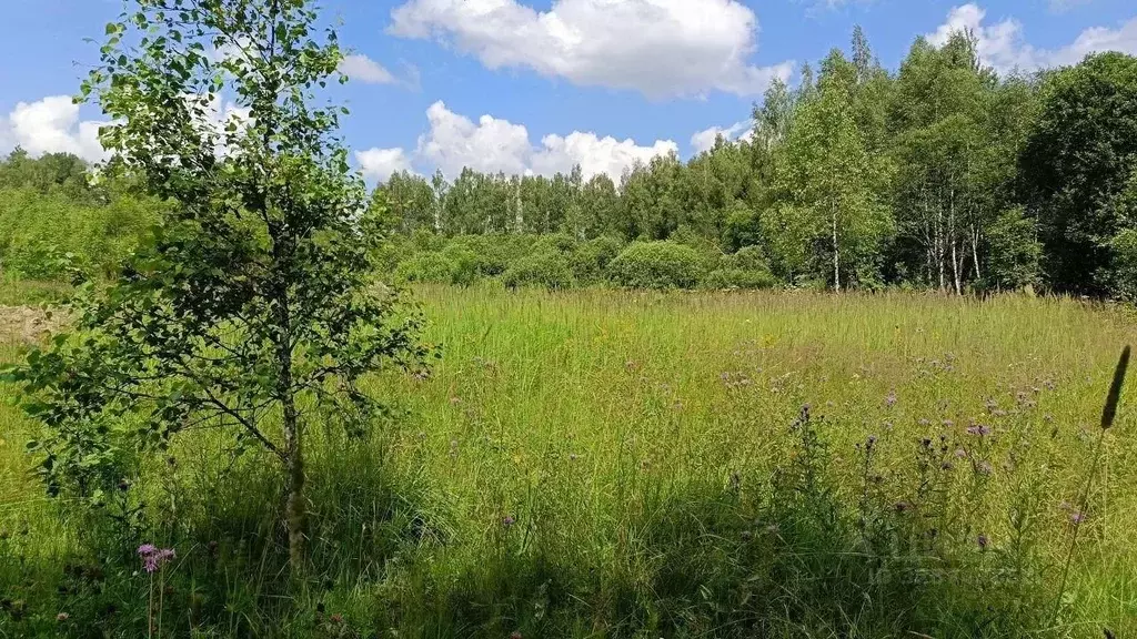 Участок в Московская область, Можайский муниципальный округ, Лесной кп ... - Фото 2