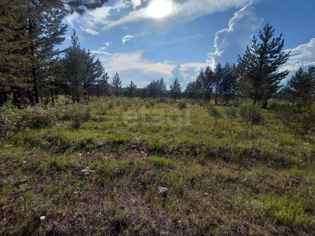 Участок в Забайкальский край, Читинский район, № 50 Строитель СТ  ... - Фото 2