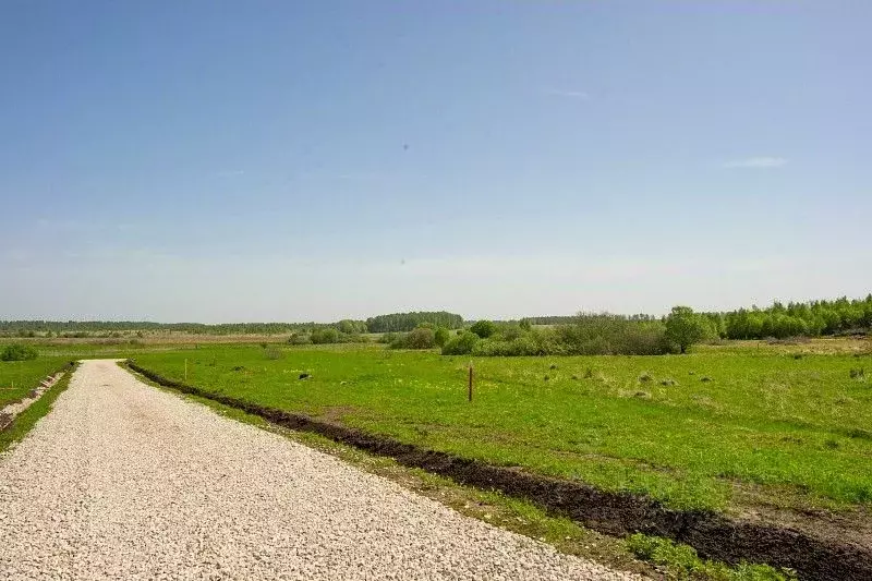 Участок в Тульская область, Заокский район, Демидовское муниципальное ... - Фото 1