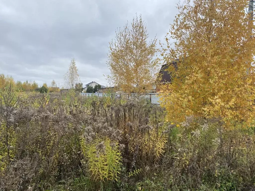 Участок в Московская область, Луховицы муниципальный округ, с. Матыра  ... - Фото 1