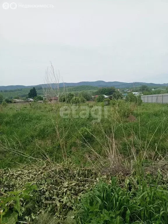 Участок в село Алтайское, улица Зелёный Клин (15 м) - Фото 1