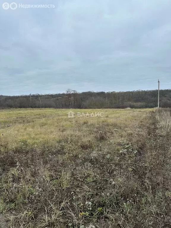 Участок в Белгородский район, Крутологское сельское поселение, село ... - Фото 1