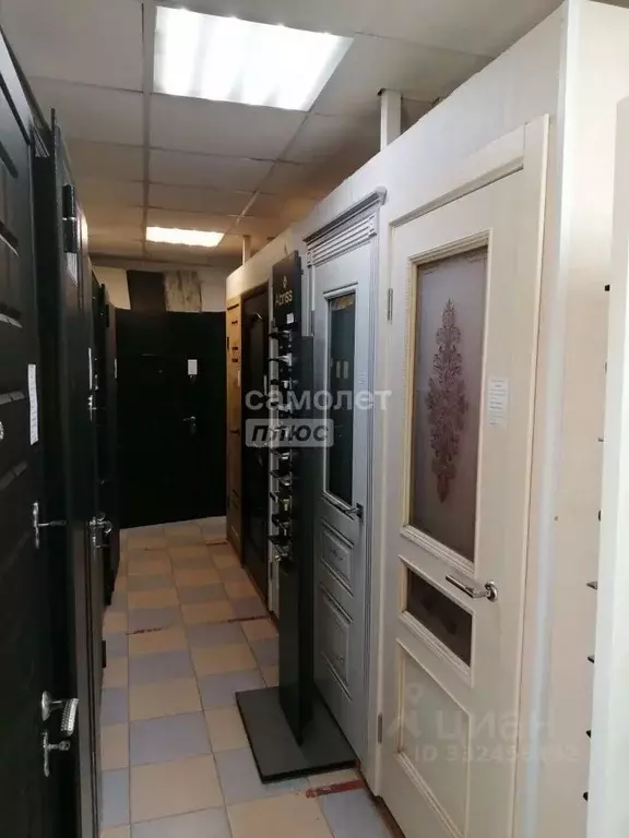 Торговая площадь в Смоленская область, Смоленск ул. Кашена, 8 (38 м) - Фото 2