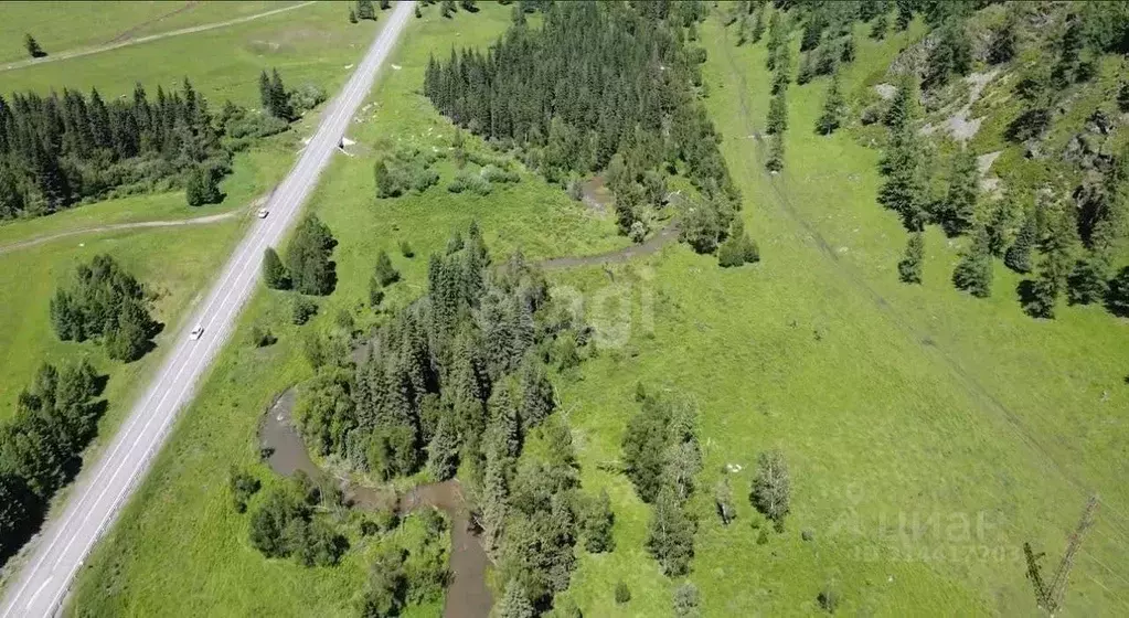 Участок в Алтай, Шебалинский район, с. Дъектиек  (10.0 сот.) - Фото 2