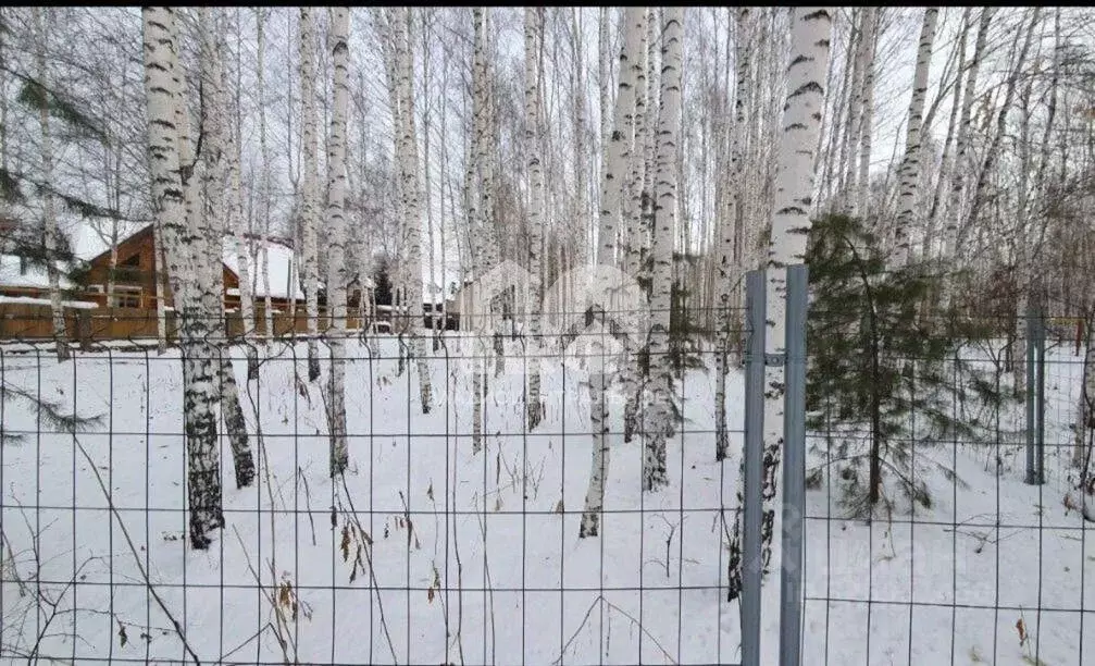 Участок в Новосибирская область, Новосибирский район, Мочищенский ... - Фото 1