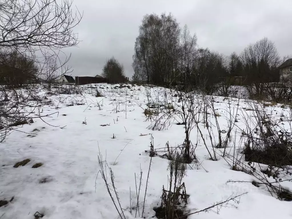 Участок в Московская область, Клин городской округ, с. Троицкое  ... - Фото 1