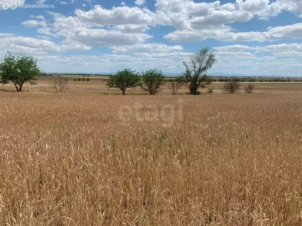 Участок в Ленинское, Школьная улица (462 м) - Фото 2