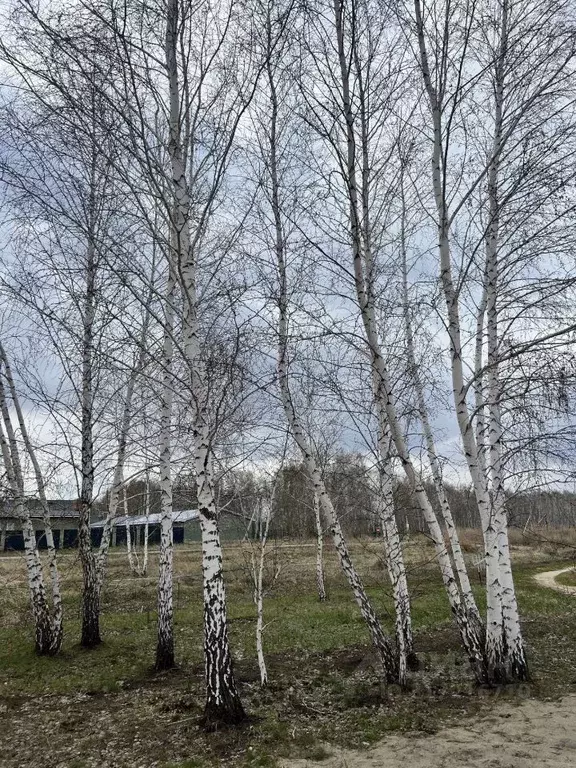 Дом в Омская область, Омск ул. Дергачева, 79 (145 м) - Фото 1