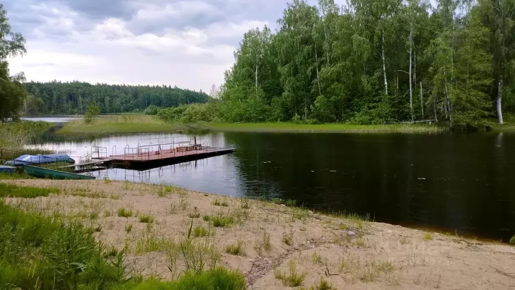 Участок в Ленинградская область, Приозерский район, Мельниковское ... - Фото 0