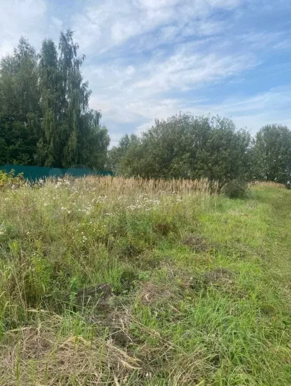 Участок в Московская область, Можайский городской округ, д. Дерново  ... - Фото 0