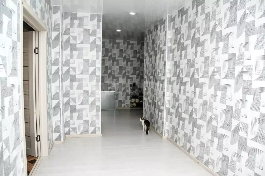 2-к кв. Забайкальский край, Чита ул. Генерала Белика, 5 (73.3 м) - Фото 1