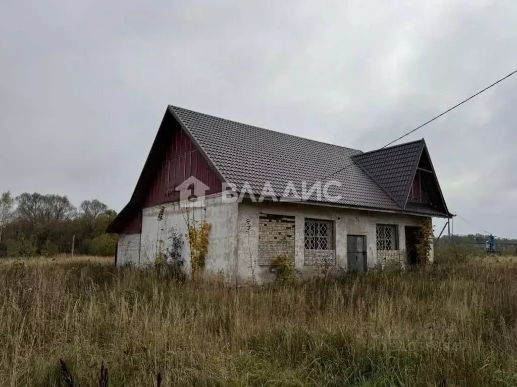 Торговая площадь в Владимирская область, Судогодский район, Мошокское ... - Фото 0