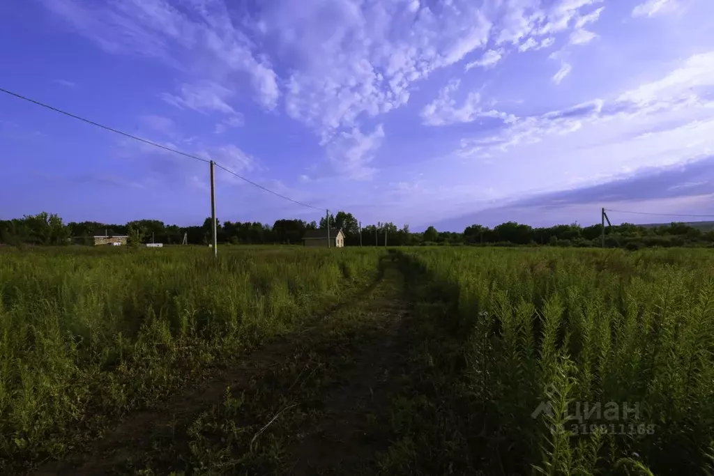 Участок в Мордовия, Саранск городской округ, пос. Пушкино ул. ... - Фото 1