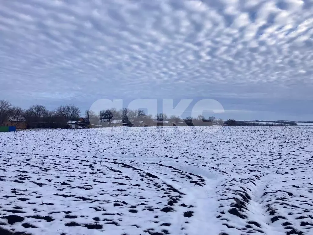 Участок в Краснодарский край, Армавир пл. Ленина (6.0 сот.) - Фото 2