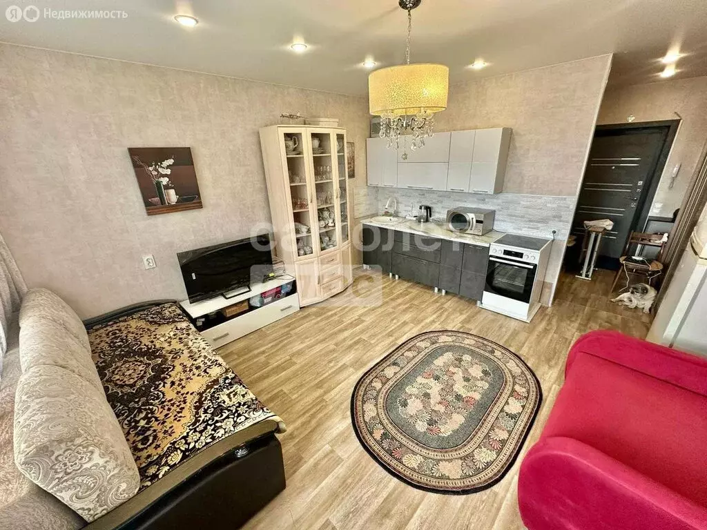 Квартира-студия: Кудрово, проспект Строителей, 18 (28.2 м) - Фото 1