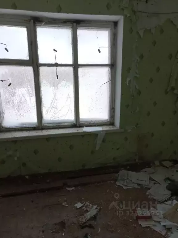 Помещение свободного назначения в Алтайский край, Зональный район, с. ... - Фото 2