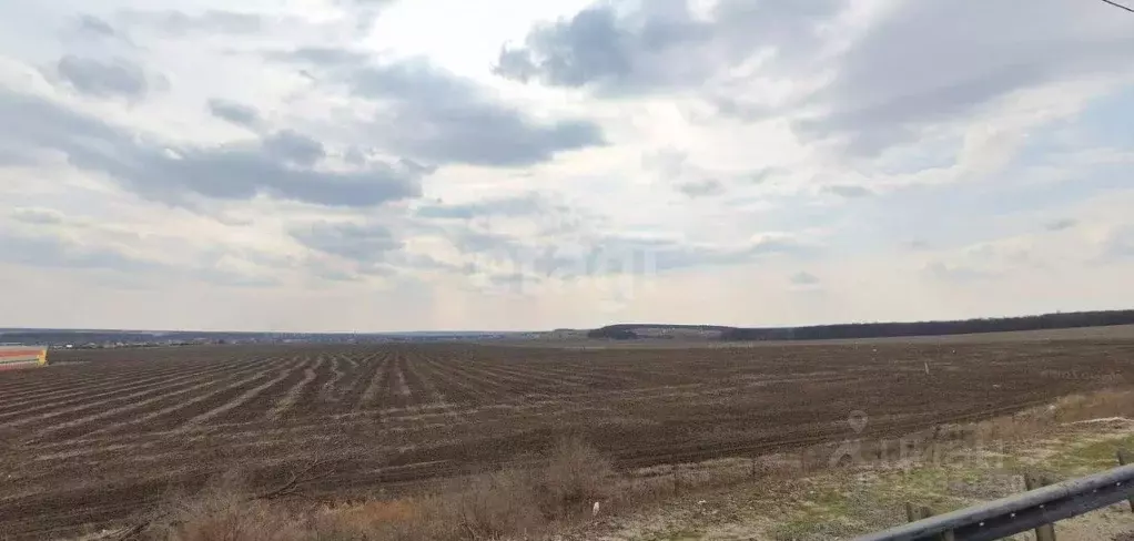 Участок в Воронежская область, Семилукский район Р-298, 214-й км ... - Фото 1