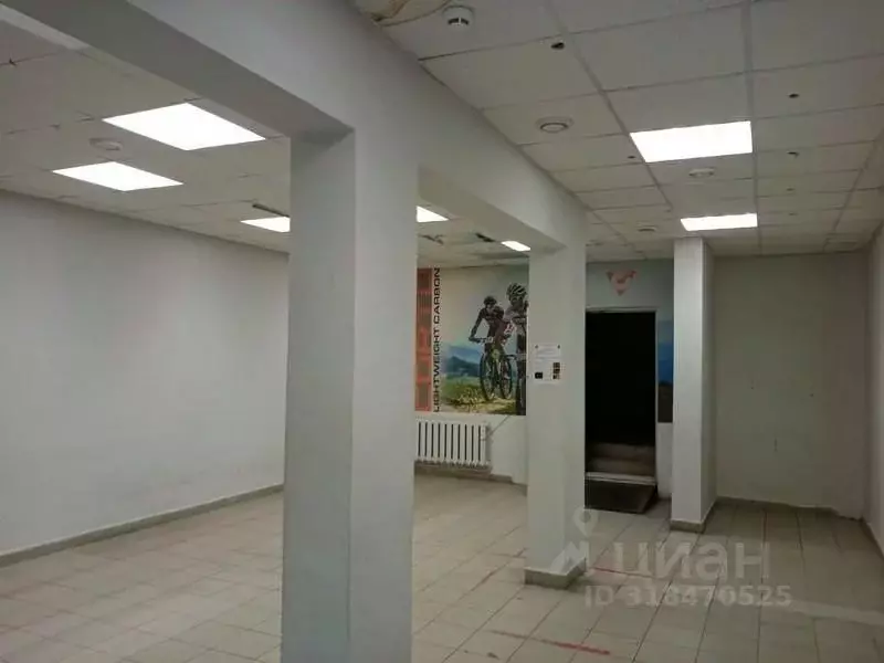 Торговая площадь в Нижегородская область, Нижний Новгород Моховая ул., ... - Фото 1