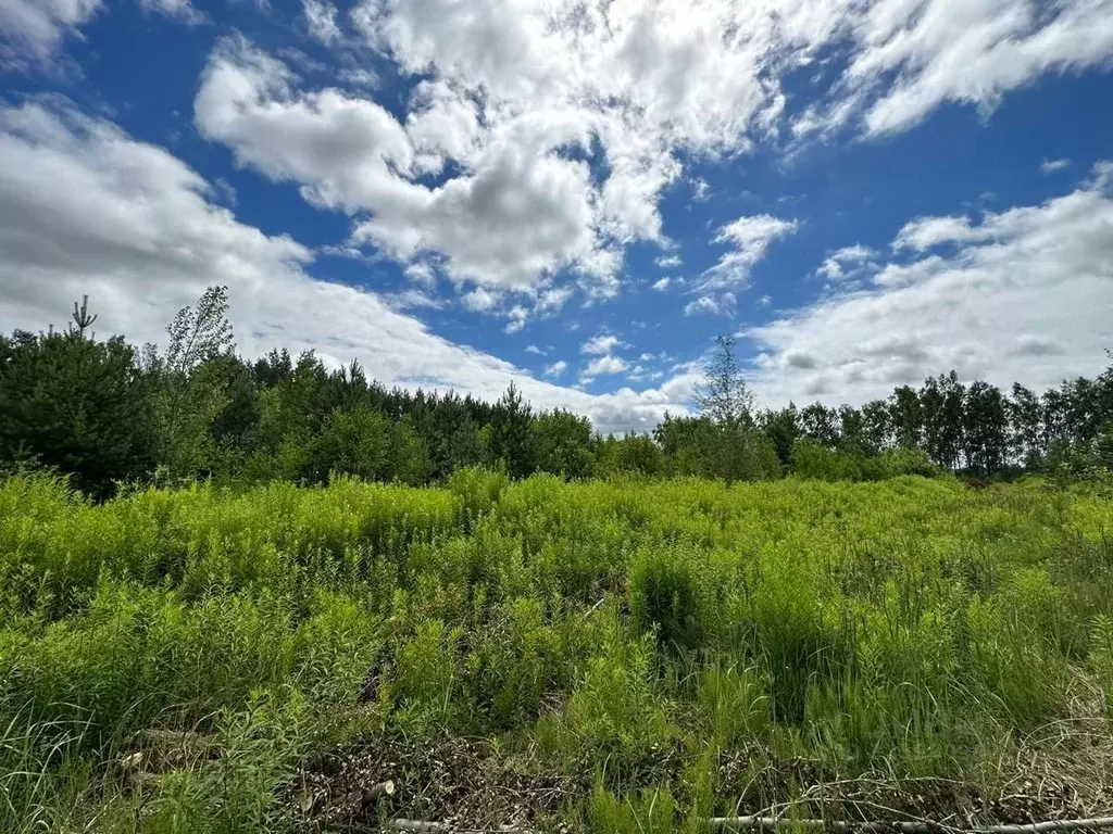 Участок в Нижегородская область, с. Безводное ул. Звездная, 6 (6.0 ... - Фото 2