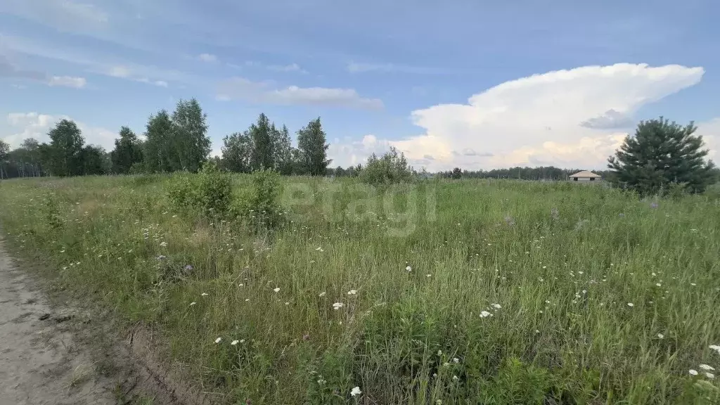 Участок в Тюменская область, Тюменский район, с. Каменка  (10.0 сот.) - Фото 0