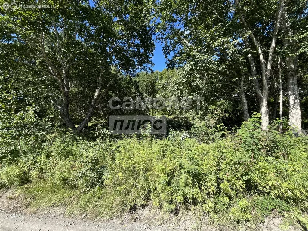 Участок в Камчатский край, Елизовский муниципальный округ, СНТ Солодок ... - Фото 1