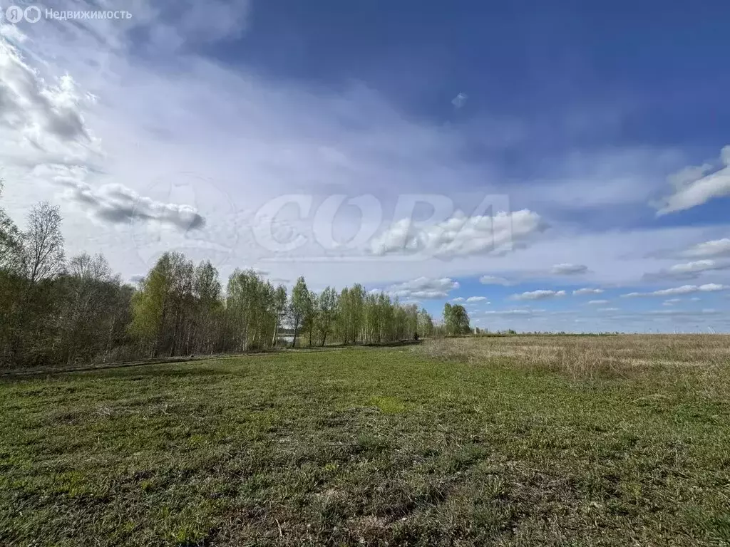 Участок в Червишевское муниципальное образование (8 м) - Фото 0