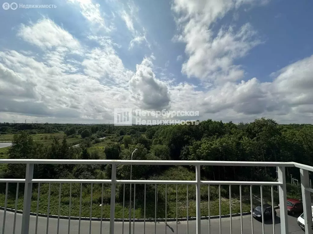 Квартира-студия: Санкт-Петербург, Меридианная улица, 8 (24.47 м) - Фото 1