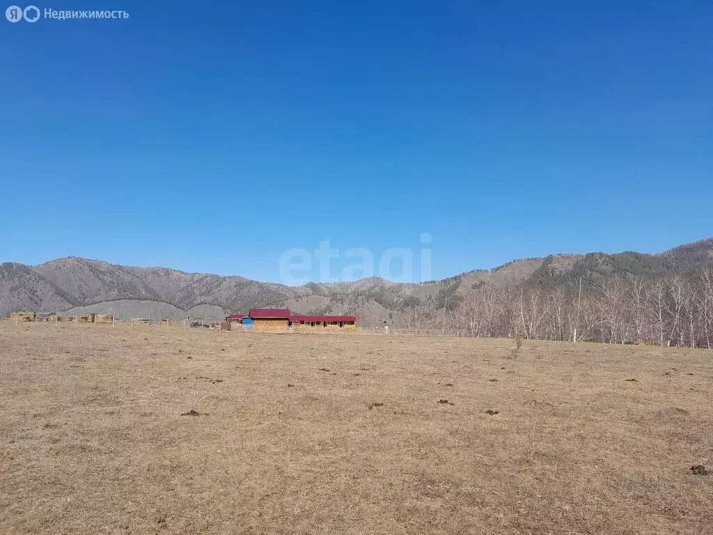 Участок в Чемальский район, село Анос (12 м) - Фото 2