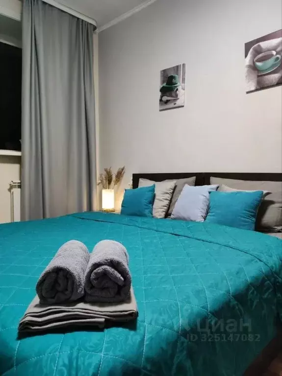 Комната Амурская область, Благовещенск Театральная ул., 199 (21.0 м) - Фото 1