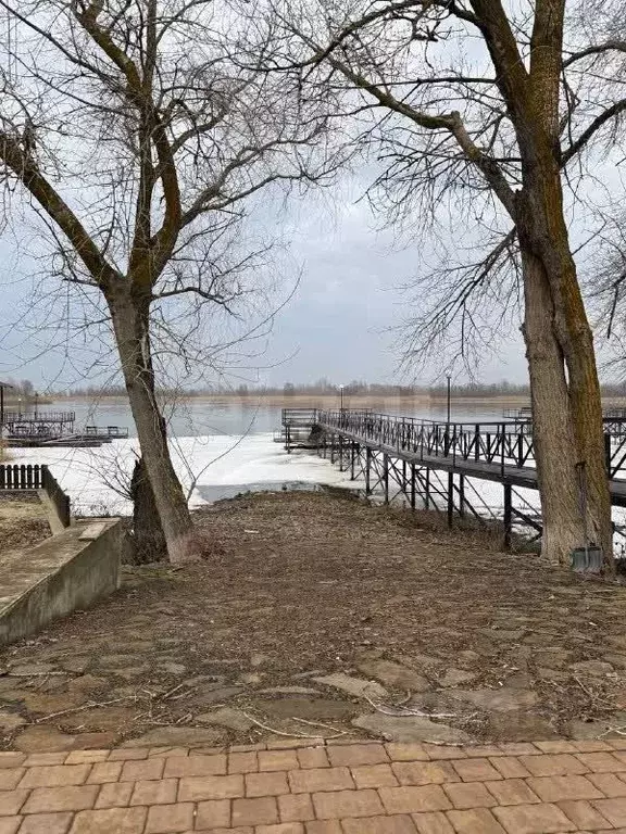 Дом в Ростовская область, Багаевский район, Манычское с/пос, Арпачин ... - Фото 1