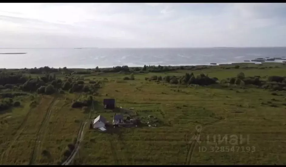 Участок в Псковская область, Псковский район, Логозовская волость, д. ... - Фото 1