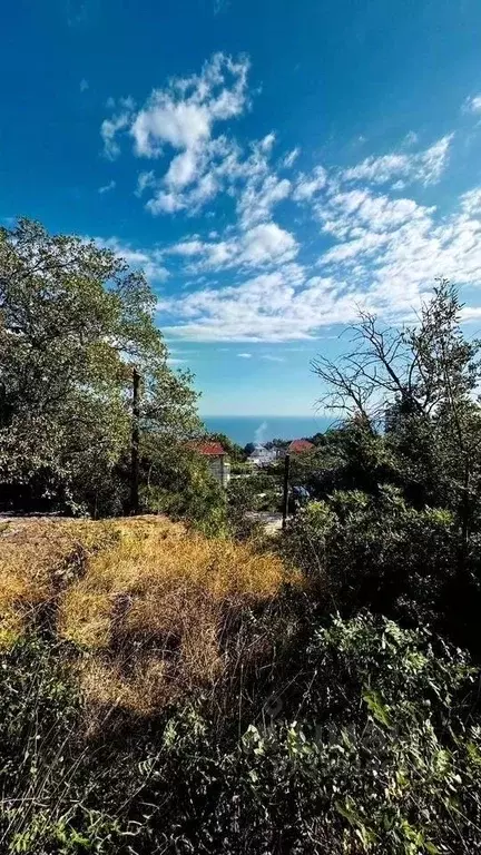 Участок в Крым, Ялта муниципальный округ, Кореиз пгт, пос. Мисхор  ... - Фото 2