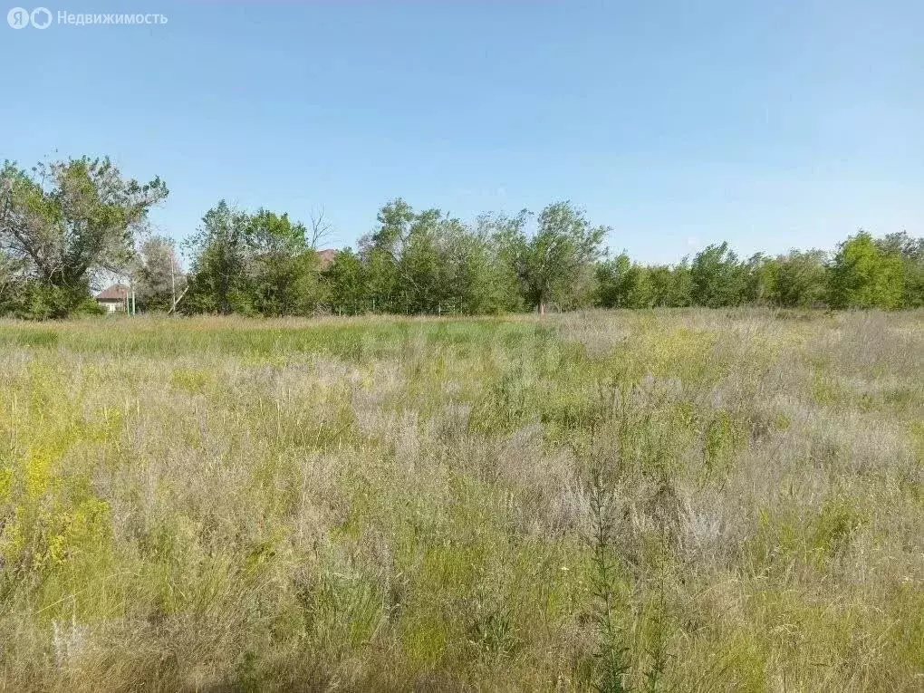 Участок в Энгельсский район, Красноярское муниципальное образование, ... - Фото 2