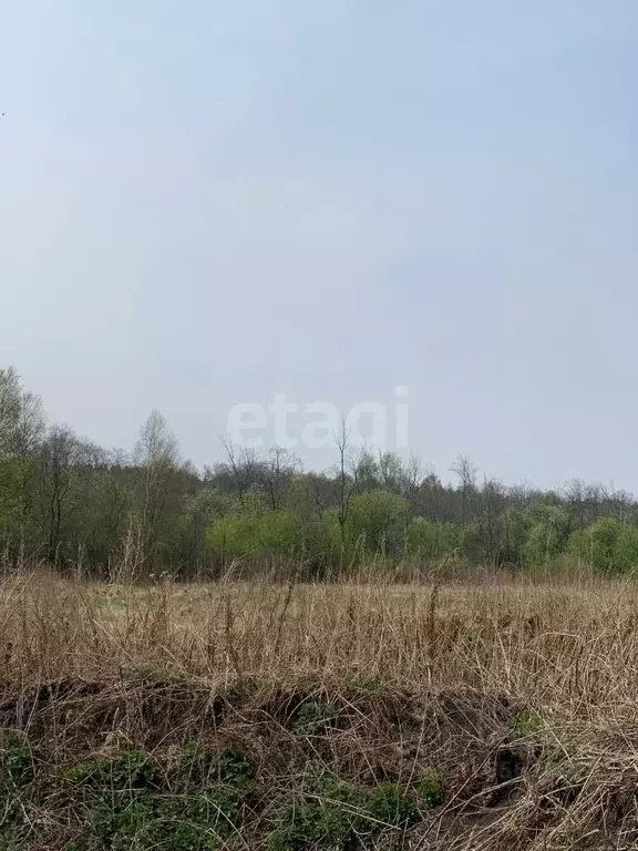Участок в Свердловская область, Белоярский муниципальный округ, пос. ... - Фото 0
