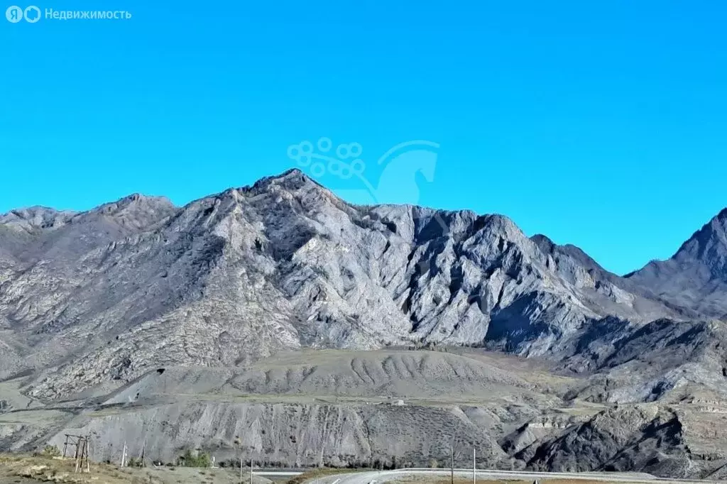 Участок в Онгудайский район, Купчегенское сельское поселение (800 м) - Фото 1