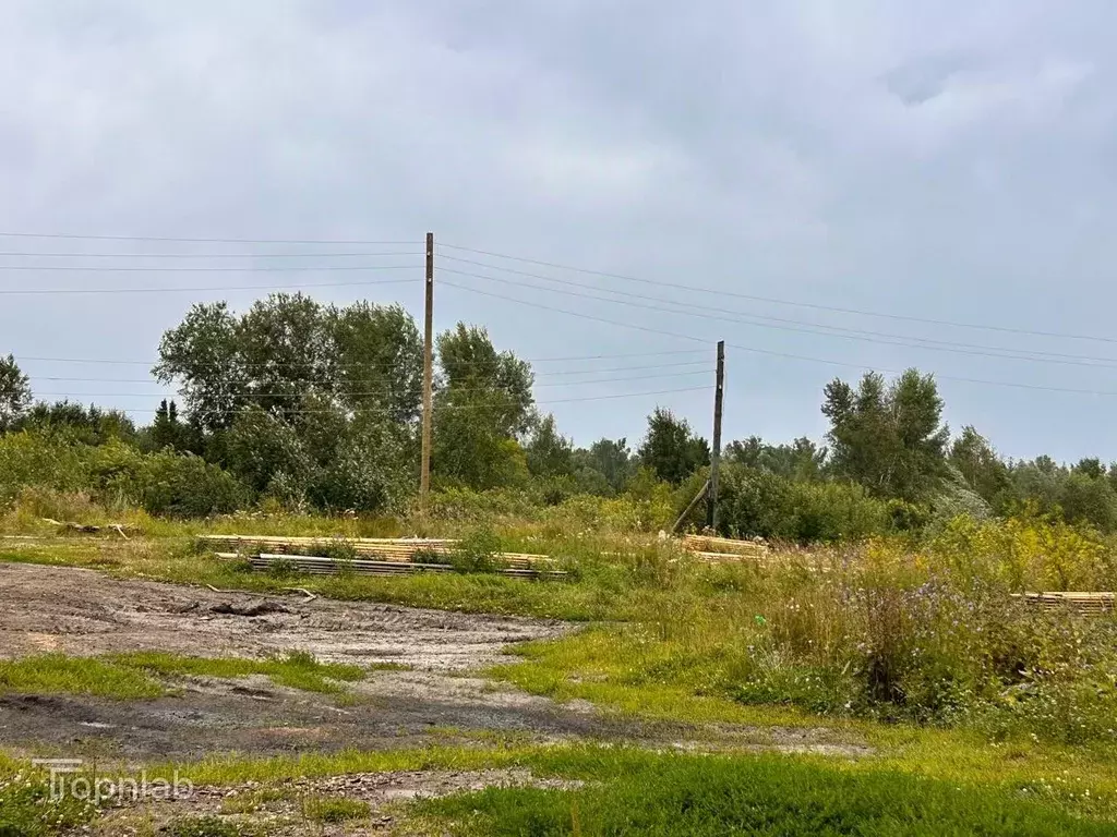 Производственное помещение в Алтайский край, Тальменский район, ... - Фото 2