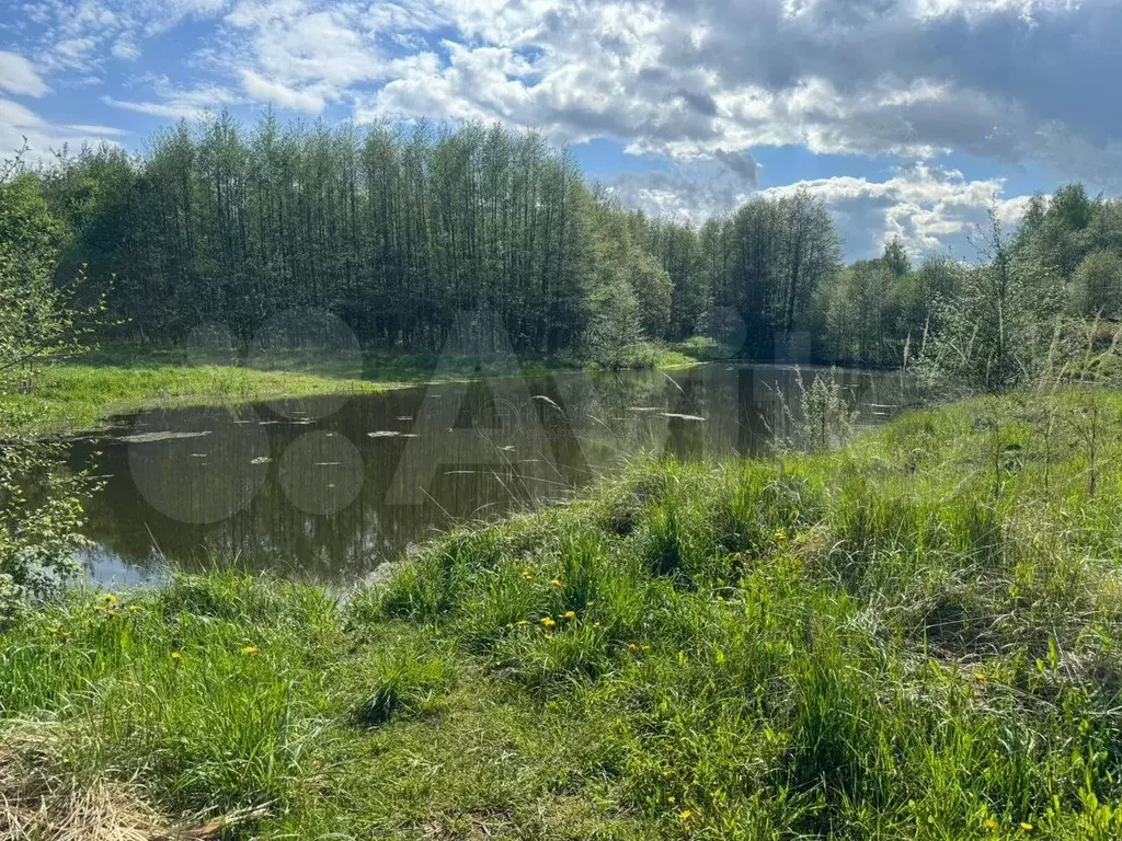 Участок 8 сот. (СНТ, ДНП) - Фото 0