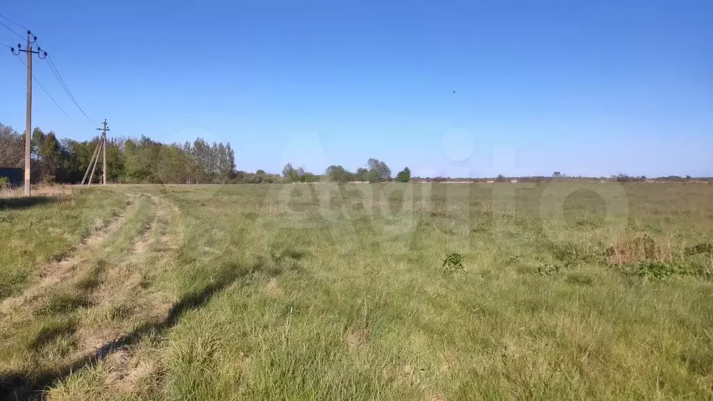 Участок 6 га (СНТ, ДНП) - Фото 1