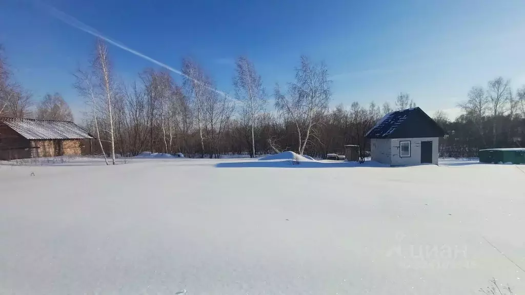 Участок в Алтайский край, Барнаул городской округ, пос. Бельмесево ... - Фото 1