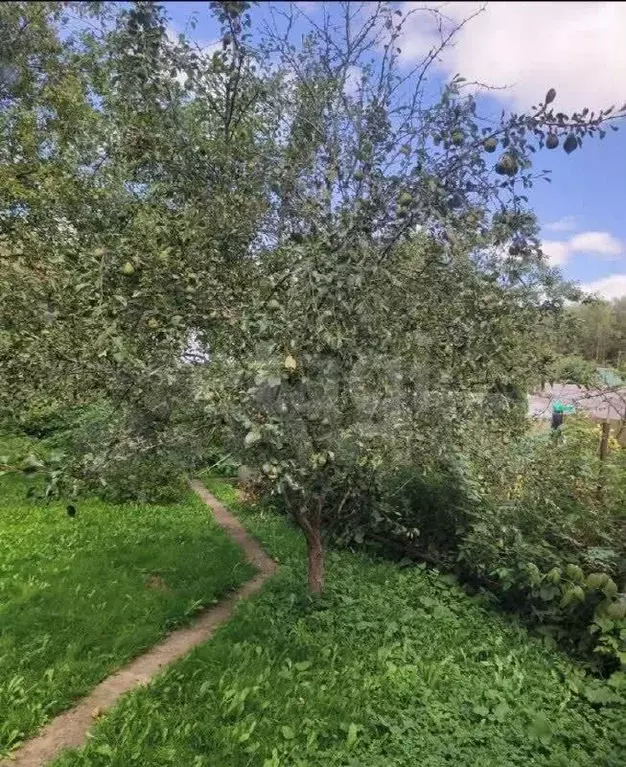 Участок, 6 сот., сельхоз (снт или днп) - Фото 2