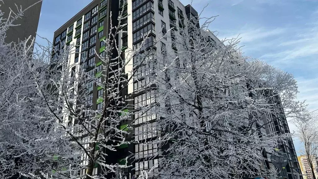 2-к кв. Калининградская область, Калининград ул. Генерала Челнокова, ... - Фото 1